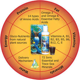 FrequenSea Nutrition Piechart showing its content of vitamins, minerals, energy, protein and essential fatty acids.