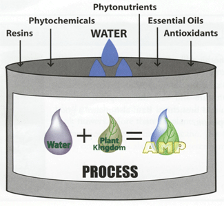 CO2 Extraction Process with phytonutrients - Step #2